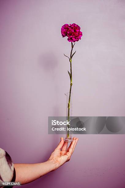 Joven Mujer Sosteniendo Una Sola Flor Púrpura Foto de stock y más banco de imágenes de A la moda - A la moda, Actividades recreativas, Adulto