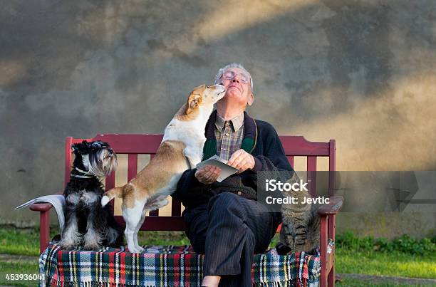 Old Man With Pets Stock Photo - Download Image Now - Dog, Senior Adult, Domestic Cat