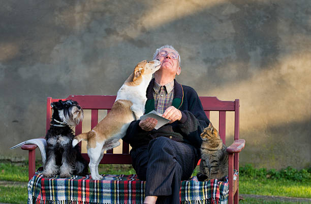 старый человек с домашними животными - pets stroking licking love стоковые фото и изображения