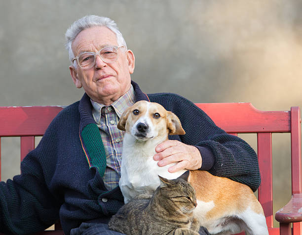 istock Elderly man with glasses on a red bench with a cat and dog 453936045