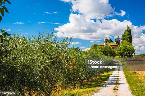 Toscana Strada Di Campagna Con Alberi Di Ulivo - Fotografie stock e altre immagini di Agricoltura - Agricoltura, Albero, Ambientazione esterna
