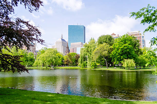 jardín público de boston - boston common fotografías e imágenes de stock