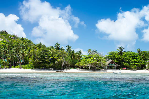 istock White coral sand on tropical beach. Mahe island, Seyshelles. 453938891