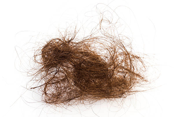 Woman losing hair Balding problem women loss hair isolated hair clump stock pictures, royalty-free photos & images