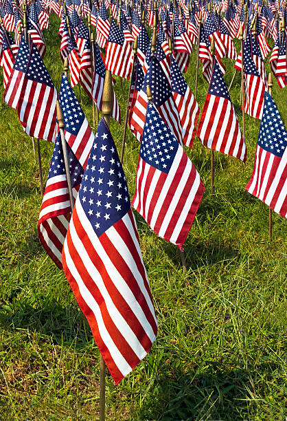 istock Field of United States Flags 453947445