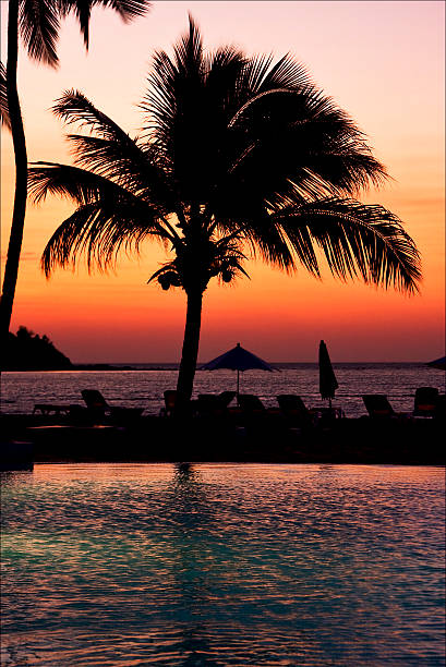 istock pool sunset parasol  lagoon and coastline 453947651