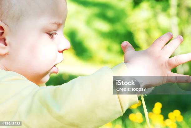 Foto de Pequeno Bebê Menino e mais fotos de stock de 2-5 meses - 2-5 meses, 6-11 meses, Alegria