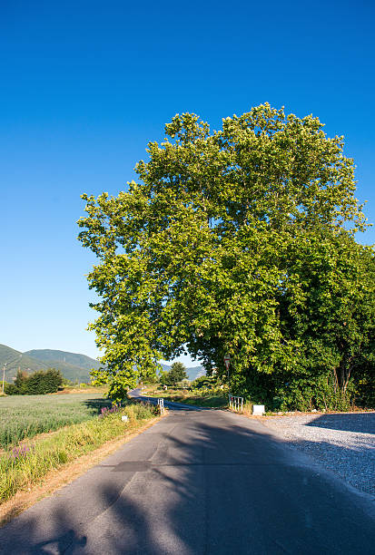 istock Beautiful countryside road 453952047