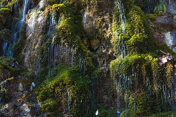 ruscello di montagna tra le pietre nella trama - baumblätter foto e immagini stock