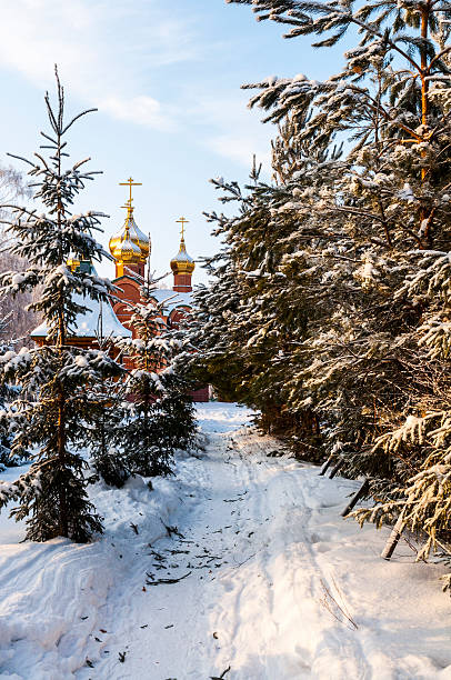 istock Snow-covered Christmas trees in winter forest. Siberia. 453952359