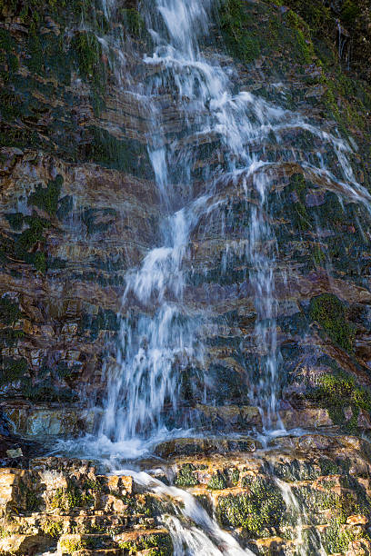 водопад на горный ручей - baumblätter стоковые фото и изображения