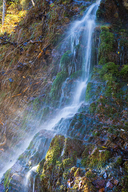 cascata sul ruscello di montagna - baumblätter foto e immagini stock