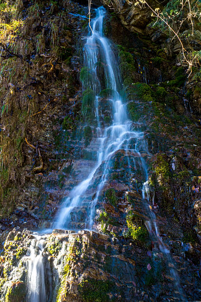 cascata sul ruscello di montagna - baumblätter foto e immagini stock