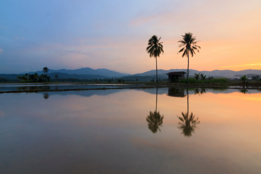 Harmonic reflection of sunset at a rural area in Sabah, Borneo, Malaysia