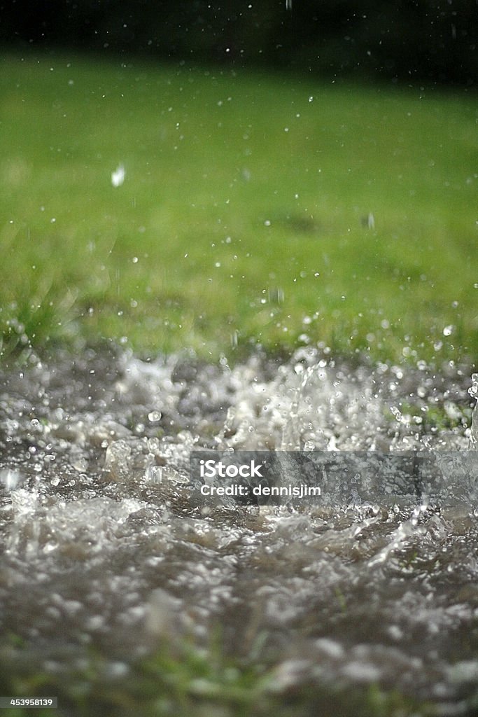 Heavy rain splashes into water puddle with grass in background Heavy rain splashes into puddle with grass in the background. Grass Stock Photo