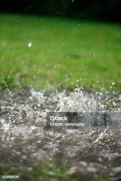 Heavy Rain Splashes Into Water Puddle With Grass In Background Stock Photo - Download Image Now