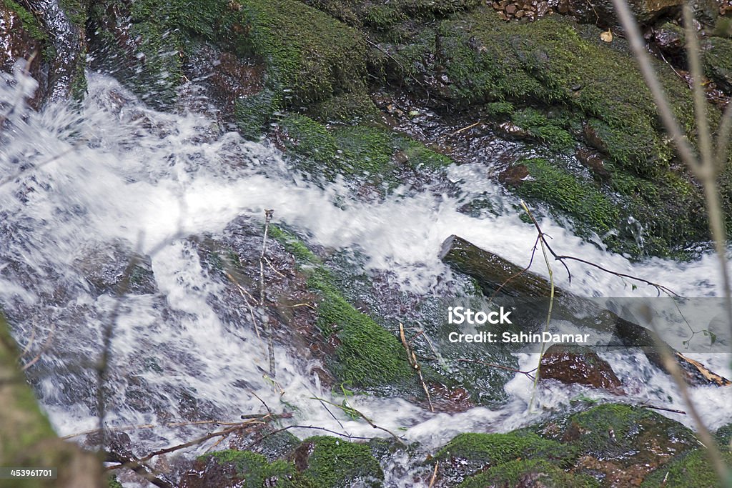 Waterfall Turkey in Yedigoller. Awe Stock Photo