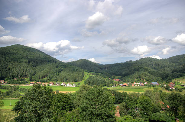 istock Black forest landscapes in germany 453963377