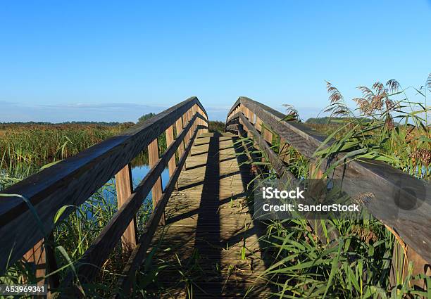 Footbridge In Nature Stock Photo - Download Image Now - Architecture, Bridge - Built Structure, Canal