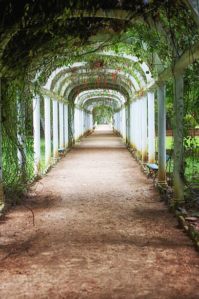 istock Shaded walkway in the park 453969351