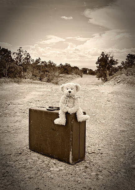 istock Vintage Teddy Bear Travelling, Old Suitcase on Dirt Road, Sepia 453970059