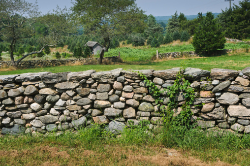 A field stone wall surrounds a pasture in Griswold, Connecticut.