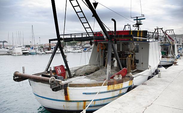 istock Fishing boat in port, harbor 453972491