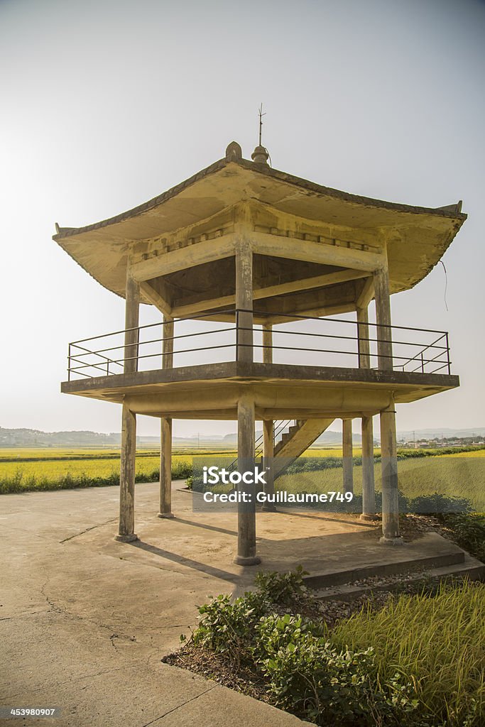 Pagoda i ryżu pola - Zbiór zdjęć royalty-free (Betonowy)