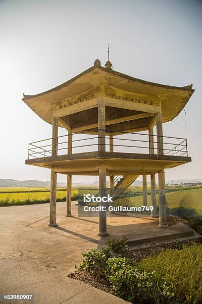 Pagode E Campos De Arroz - Fotografias de stock e mais imagens de Ao Ar Livre - Ao Ar Livre, Arroz - Alimento Básico, Arroz - Cereal