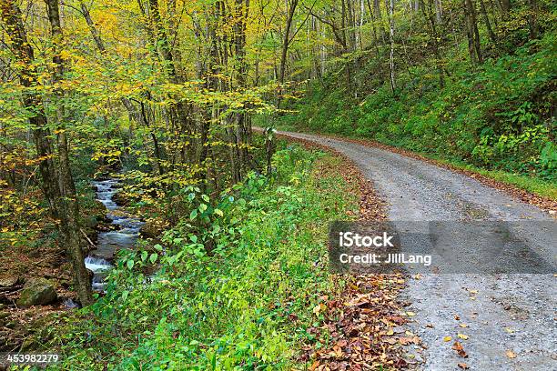 Droga Gruntowa Obok Creek - zdjęcia stockowe i więcej obrazów Bez ludzi - Bez ludzi, Cztery pory roku, Droga