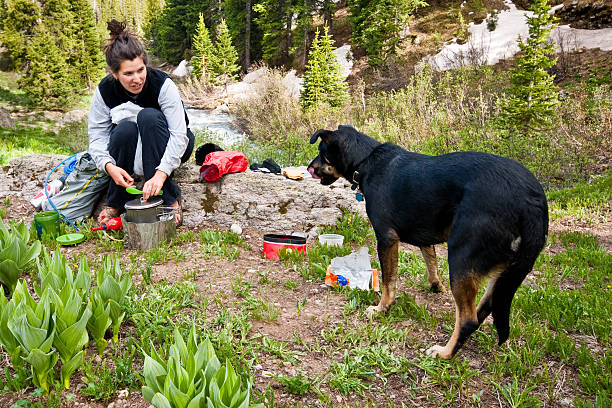 Hiker Preparing Food with Dog Watching The San Juans in southern Colorado are a high altitude range of mountains that straddle the Continental Divide. This wide-open landscape, at 12,300, is well above timberline. The young woman and her dog were photographed while she was preparing food at Lower Ice Lake in the San Juan National Forest near Silverton, Colorado, USA. jeff goulden san juan mountains stock pictures, royalty-free photos & images