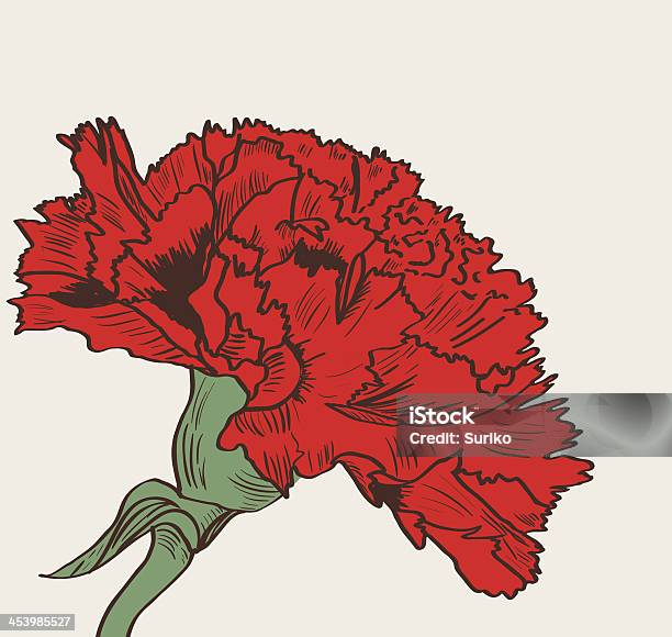 Graphic Illustration Of Red Carnation On White Background Stock Illustration - Download Image Now