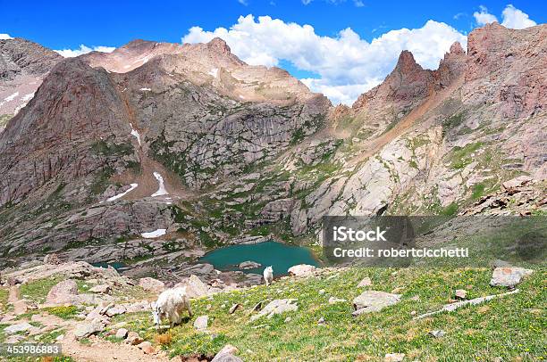 Rocky Mountains Colorado Stockfoto und mehr Bilder von Baum - Baum, Berg, Berggipfel