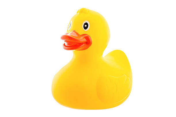 pato-amarelo - duck toy imagens e fotografias de stock