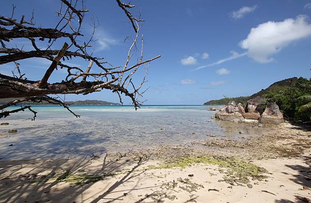 istock Takamaka Cove, Possession, Praslin Island, Seychelles 453992403