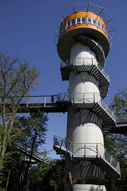 istock Treetop path in the national park Hainich 453996429