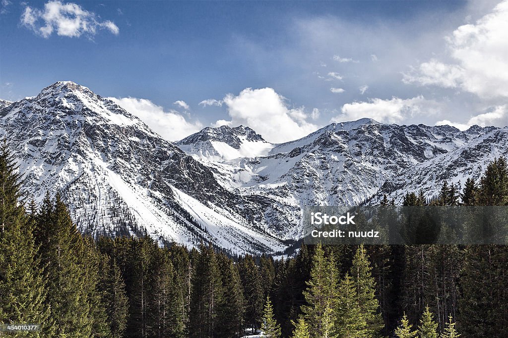 swiss alps this photo was taken in arosa, in the swiss alps Arosa Stock Photo