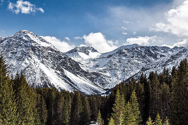 swiss alps this photo was taken in arosa, in the swiss alps graubunden canton stock pictures, royalty-free photos & images