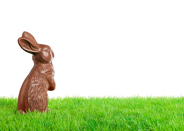 Chocolate Easter bunny in grass Chocolate easter bunny on a meadow. Isolated on white. chocolate bunny stock pictures, royalty-free photos & images