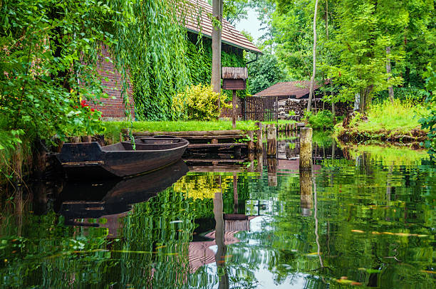 강 풍경, 녹색 숲 spreewald/독일 - ecological reserve tree reflection land feature 뉴스 사진 이미지