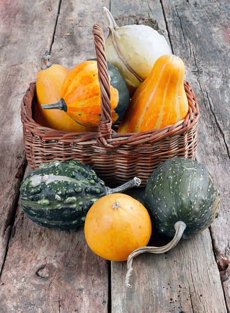 istock Pumpkins on a wooden table , backrounds 454048045