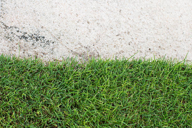 istock half of green grass and sand 454053415