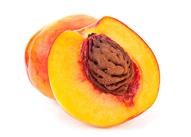 Nectarine fruit stock photo