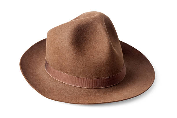 istock brown male felt hat isolated on white background 454056841