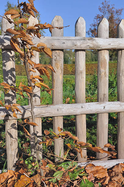 istock wooden fence 454066159