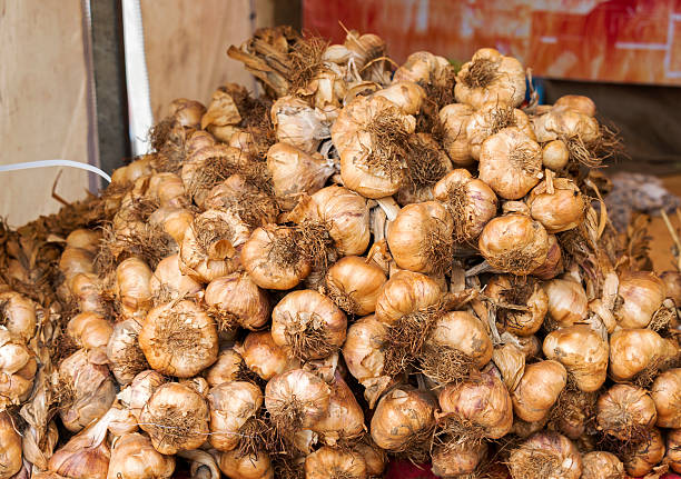 istock garlic on the market 454070655