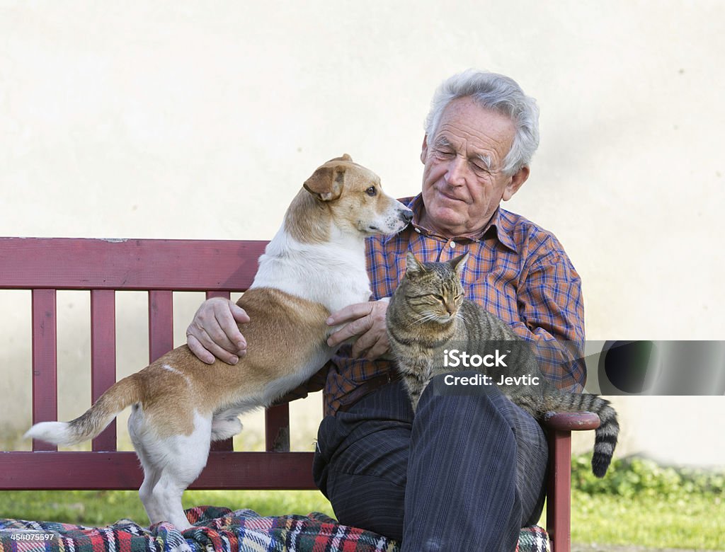 Vieil homme avec ses animaux de compagnie - Photo de Chat domestique libre de droits