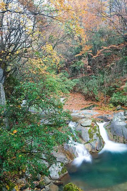 autumn,forest and stream,guang wu shan,sichuan,china