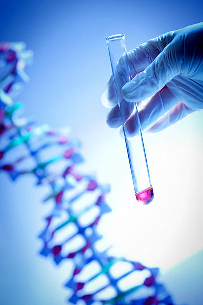 proyecto del genoma con muestra genética de adn en tubo de ensayo - dna helix individuality science fotografías e imágenes de stock