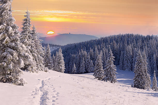 istock Beautiful winter landscape in the mountains 454103939